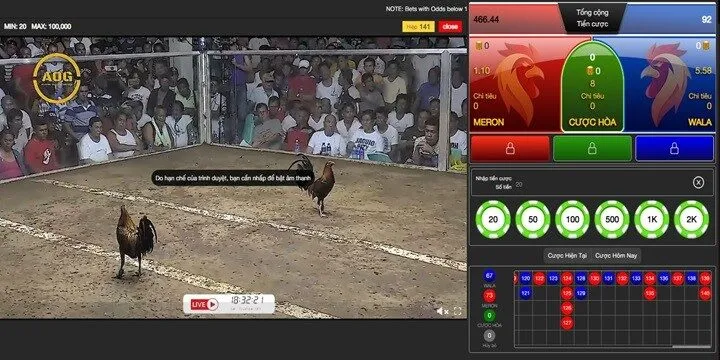 Quy trình cược đá gà 789Win cơ bản