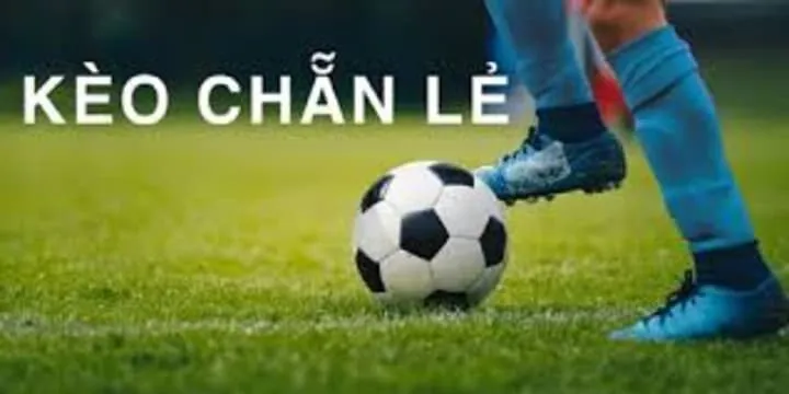 Kinh nghiệm soi Kèo chẵn lẻ luôn thắng