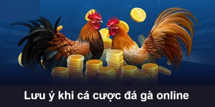 Những điều lưu ý giúp tránh bị lừa đảo đá gà qua mạng