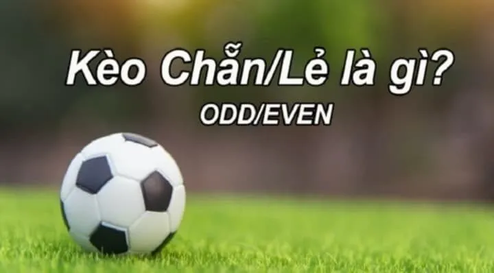 Khám phá sơ lược về kèo chẵn lẻ trong cá độ bóng đá