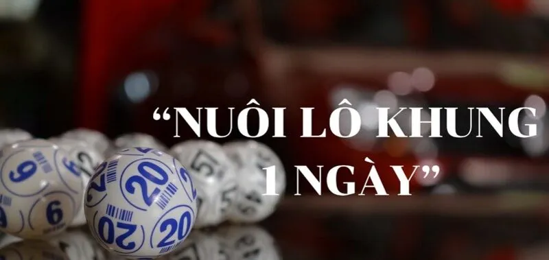 Giới thiệu tổng quan về Lô khung