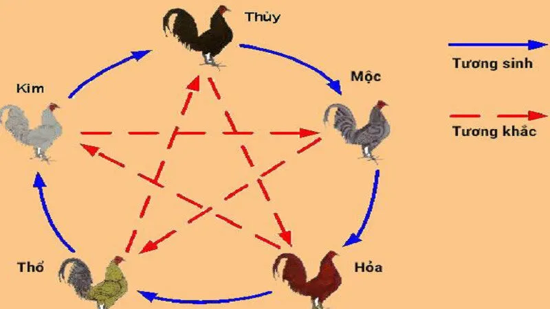 Màu mạng gà đá yếu tố quan trọng trong chọn gà