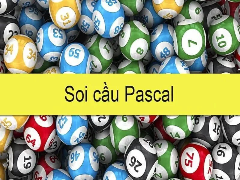 Soi cầu pascale là gì?